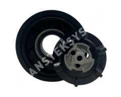 KP-1019 (4)