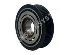 PL-1010 (1)