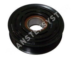 PL-1010